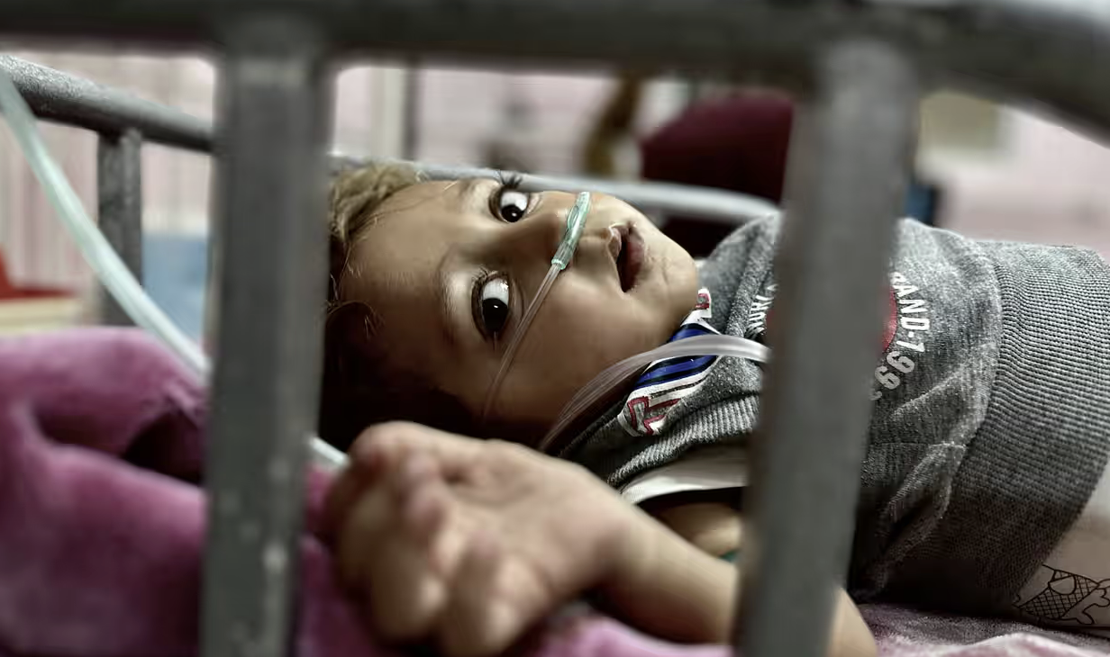 Palombara Sabina accende una luce per Gaza: il 6 settembre la fiaccolata silenziosa promossa dall’Anpi