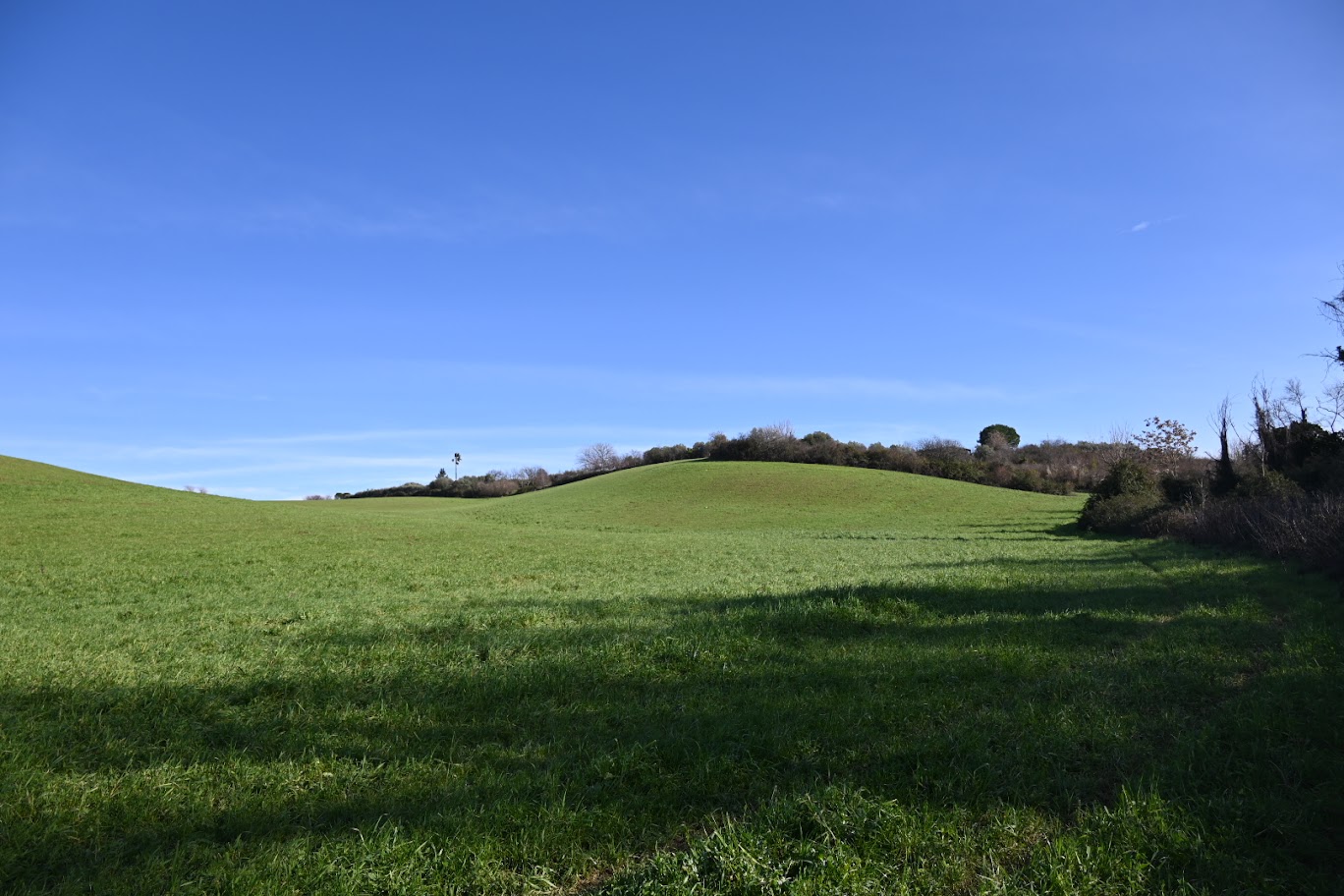 Dopo 29 anni nasce il piano d’assetto del Parco dell’Inviolata di Guidonia Montecelio. A breve anche la guida ufficiale