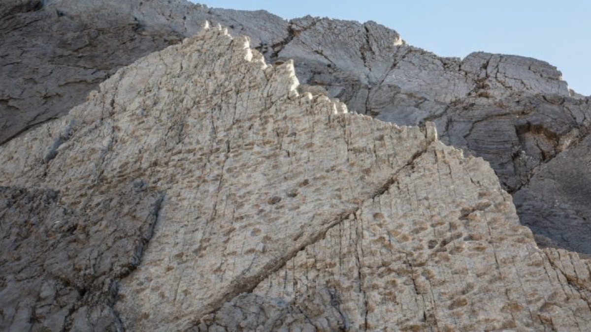 Nel Parco dello Stelvio rinvenute migliaia di orme di dinosauri risalenti a 210 milioni di anni fa