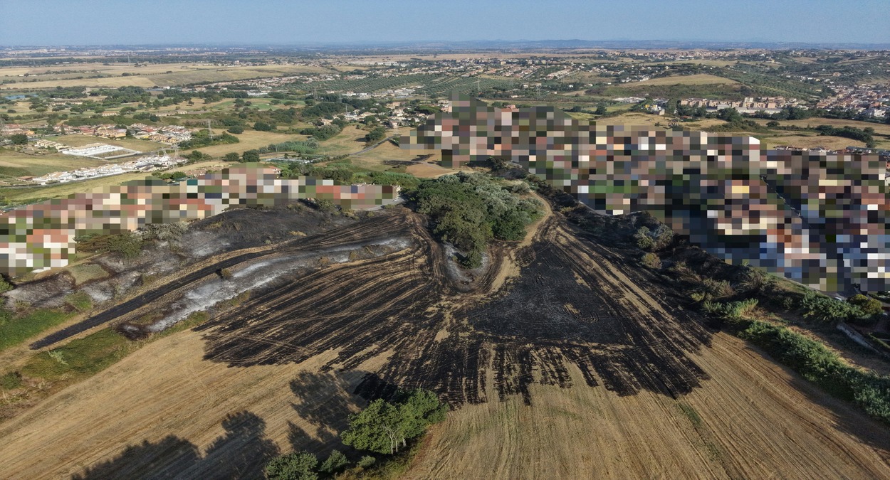 7 Incendio a Marco Simone, una lettura tecnica e naturalistica sul grave incendio di sabato 8 Agosto.